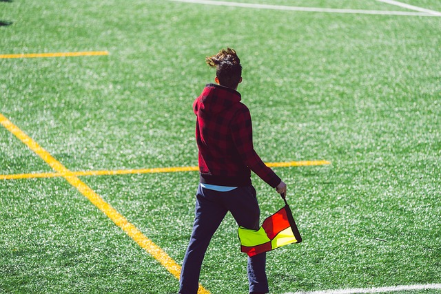 与博格巴的 与博格巴的