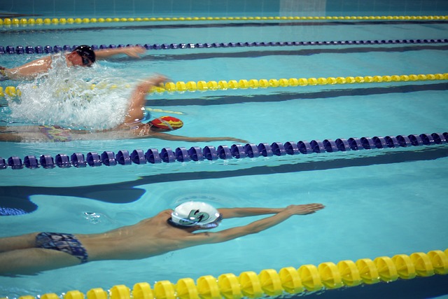 斗力来看 斗力来看