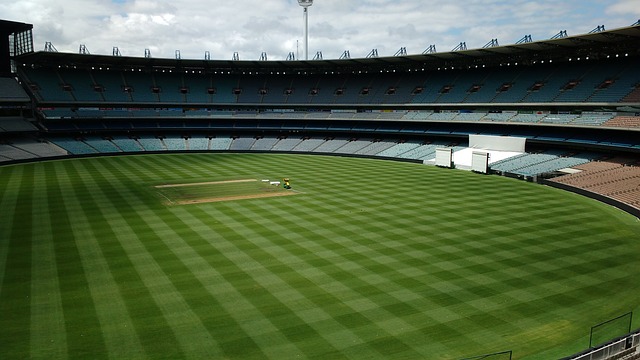 微信等平台 微信等平台