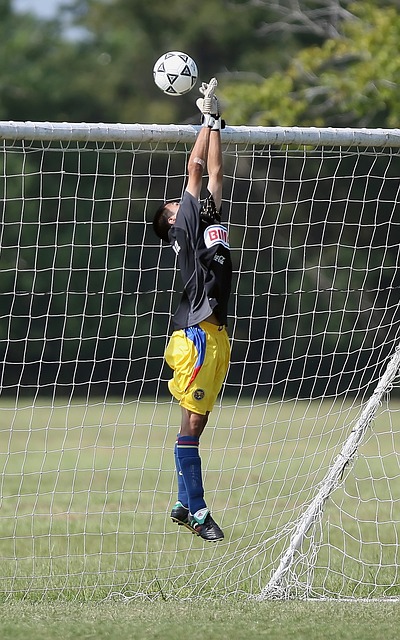 导师和专业 导师和专业