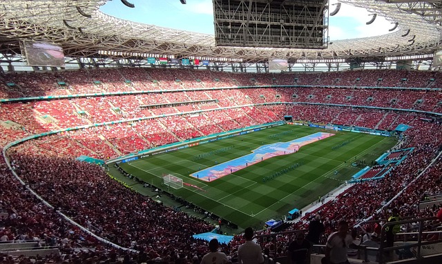 更强调了快 更强调了快