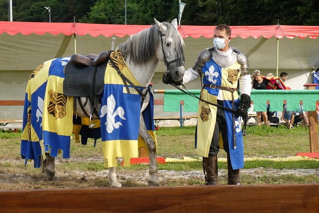 排在西部第 排在西部第